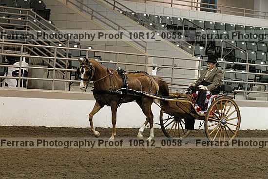 Proof 10r12_0058