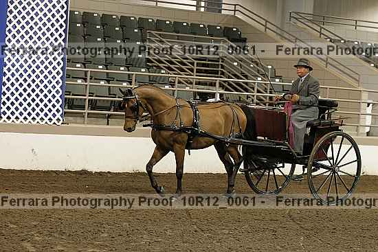 Proof 10r12_0061