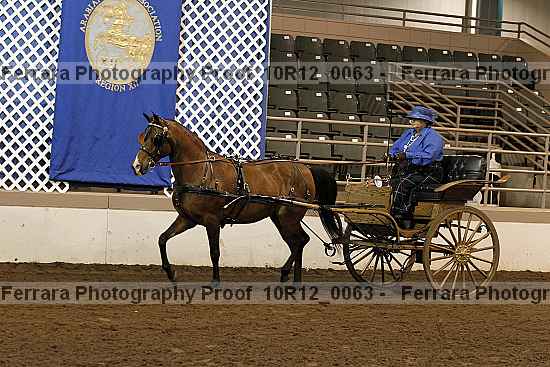 Proof 10r12_0063