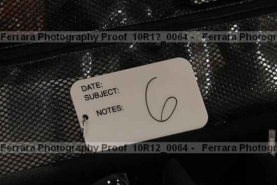 Proof 10r12_0064
