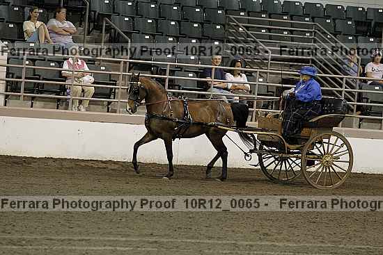 Proof 10r12_0065