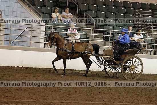 Proof 10r12_0066