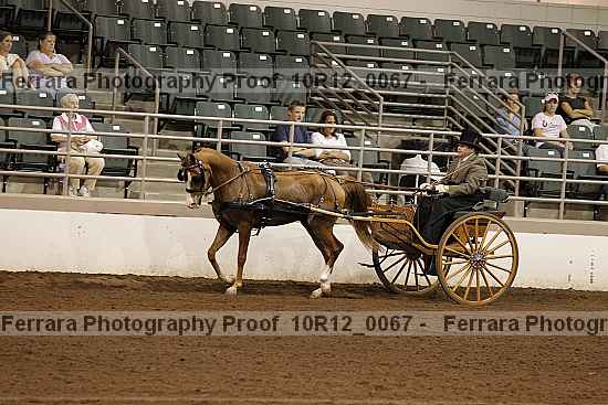Proof 10r12_0067