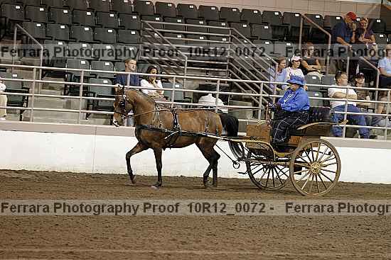 Proof 10r12_0072