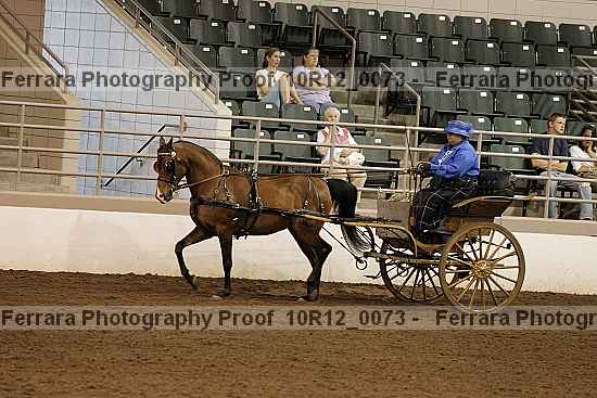 Proof 10r12_0073