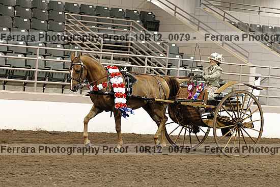 Proof 10r12_0079