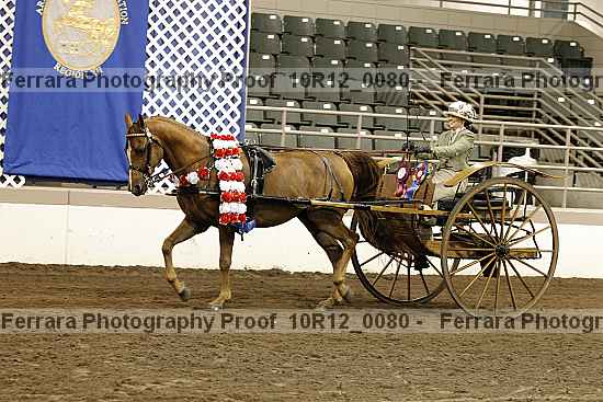 Proof 10r12_0080