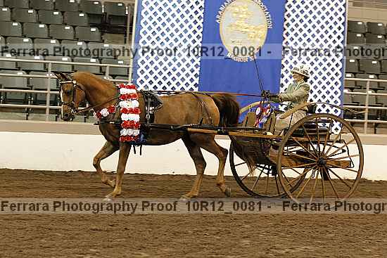 Proof 10r12_0081
