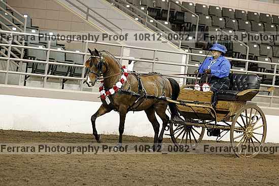 Proof 10r12_0082