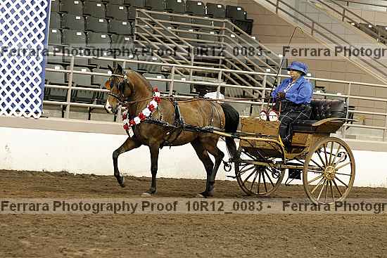 Proof 10r12_0083