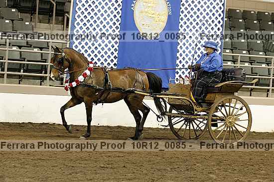 Proof 10r12_0085