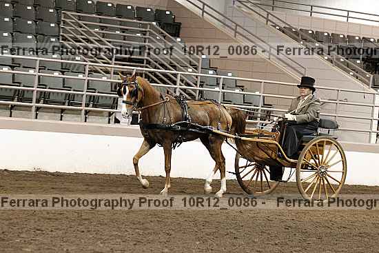 Proof 10r12_0086