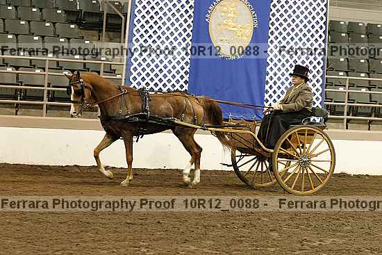 Proof 10r12_0088