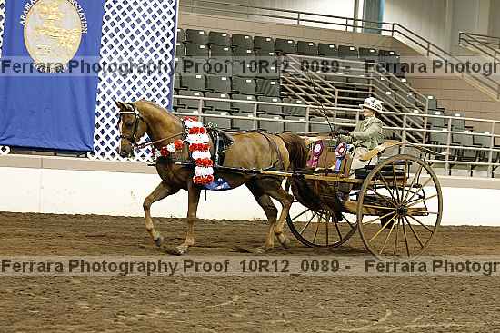 Proof 10r12_0089