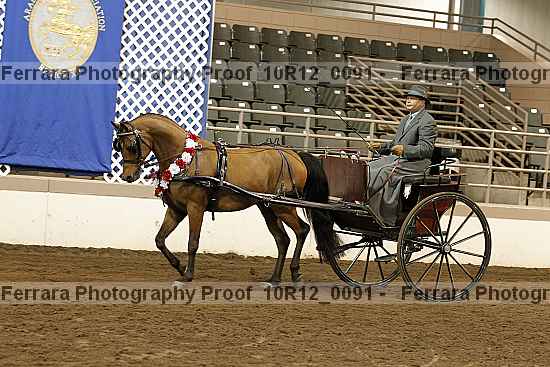 Proof 10r12_0091
