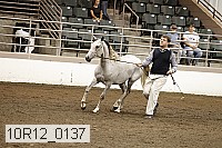 10r12_0137 proof