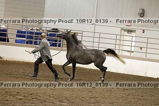 Proof 10r12_0139
