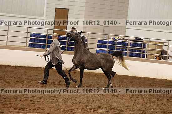 Proof 10r12_0140