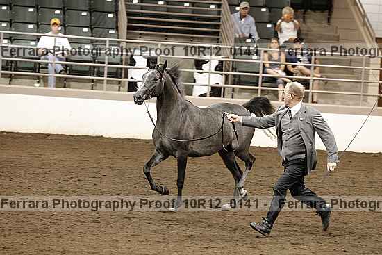 Proof 10r12_0141