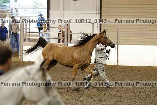 Proof 10r12_0143
