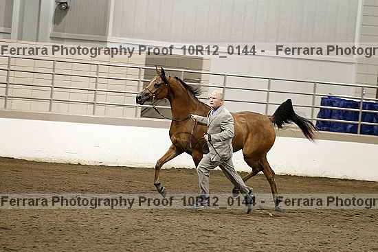 Proof 10r12_0144