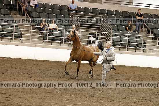 Proof 10r12_0145