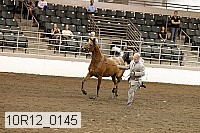 10r12_0145 proof