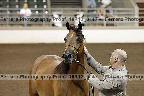 Proof 10r12_0147