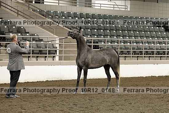 Proof 10r12_0148