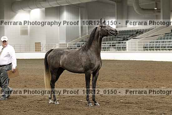 Proof 10r12_0150