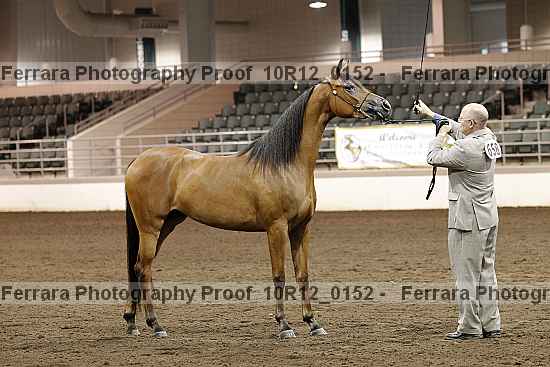 Proof 10r12_0152
