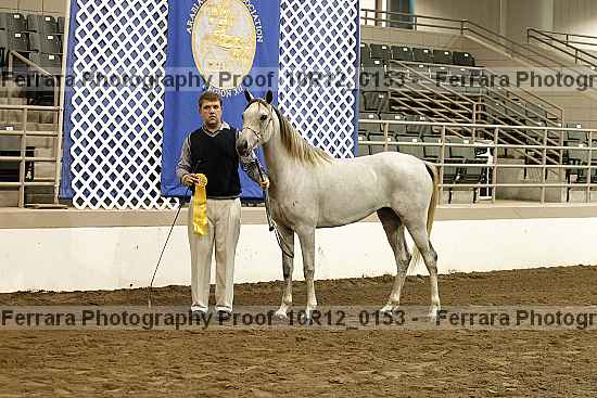 Proof 10r12_0153