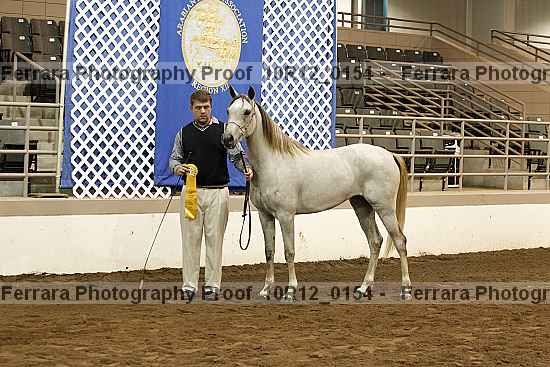 Proof 10r12_0154