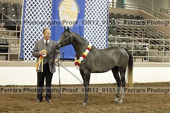 Proof 10r12_0155