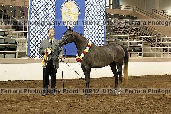 Proof 10r12_0157
