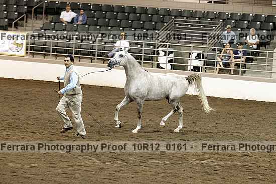 Proof 10r12_0161