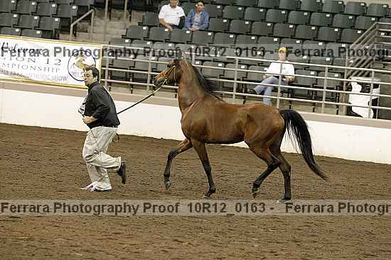 Proof 10r12_0163