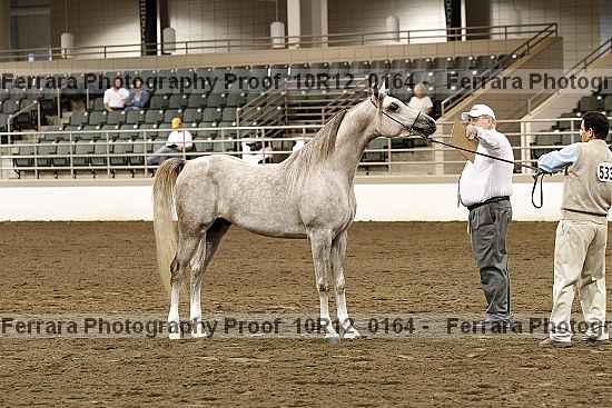Proof 10r12_0164