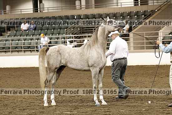 Proof 10r12_0165