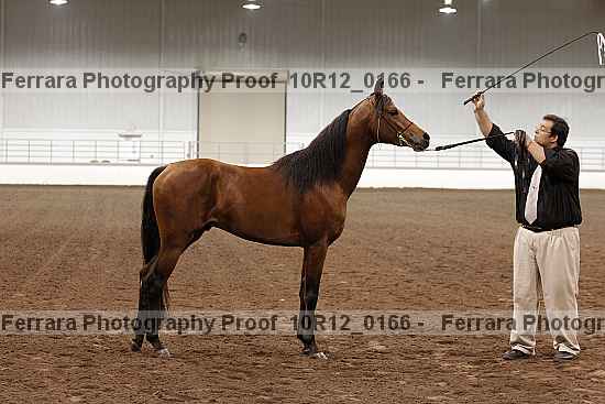 Proof 10r12_0166