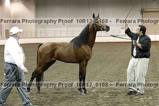 Proof 10r12_0168
