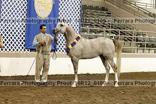 Proof 10r12_0169