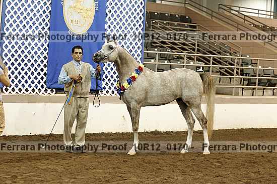 Proof 10r12_0170