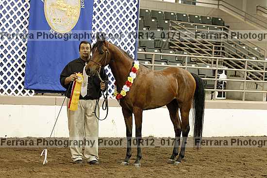 Proof 10r12_0171