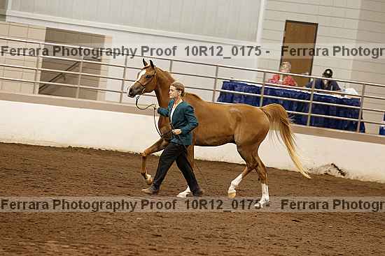Proof 10r12_0175