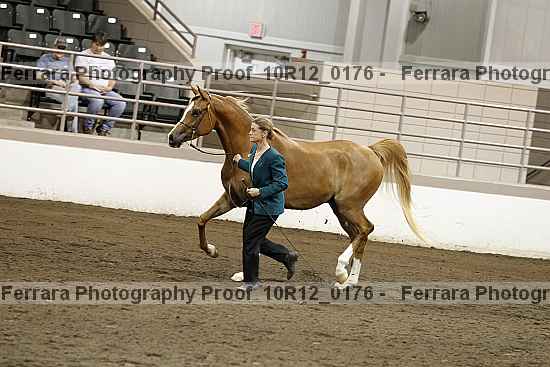 Proof 10r12_0176