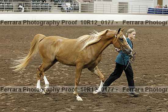 Proof 10r12_0177