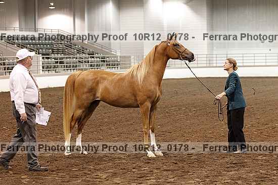 Proof 10r12_0178