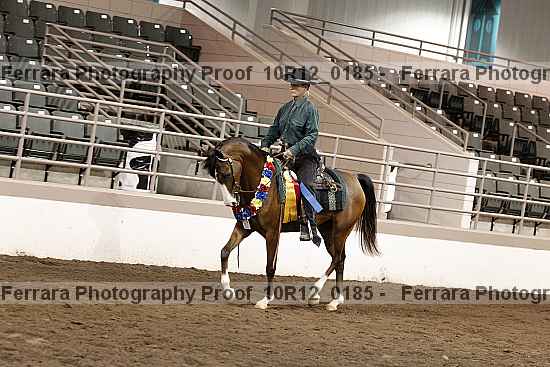 Proof 10r12_0185