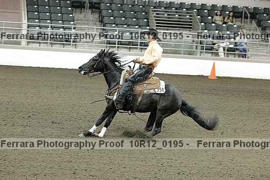 Proof 10r12_0195